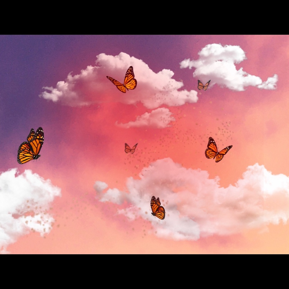 Meet your Posher, Cecilia